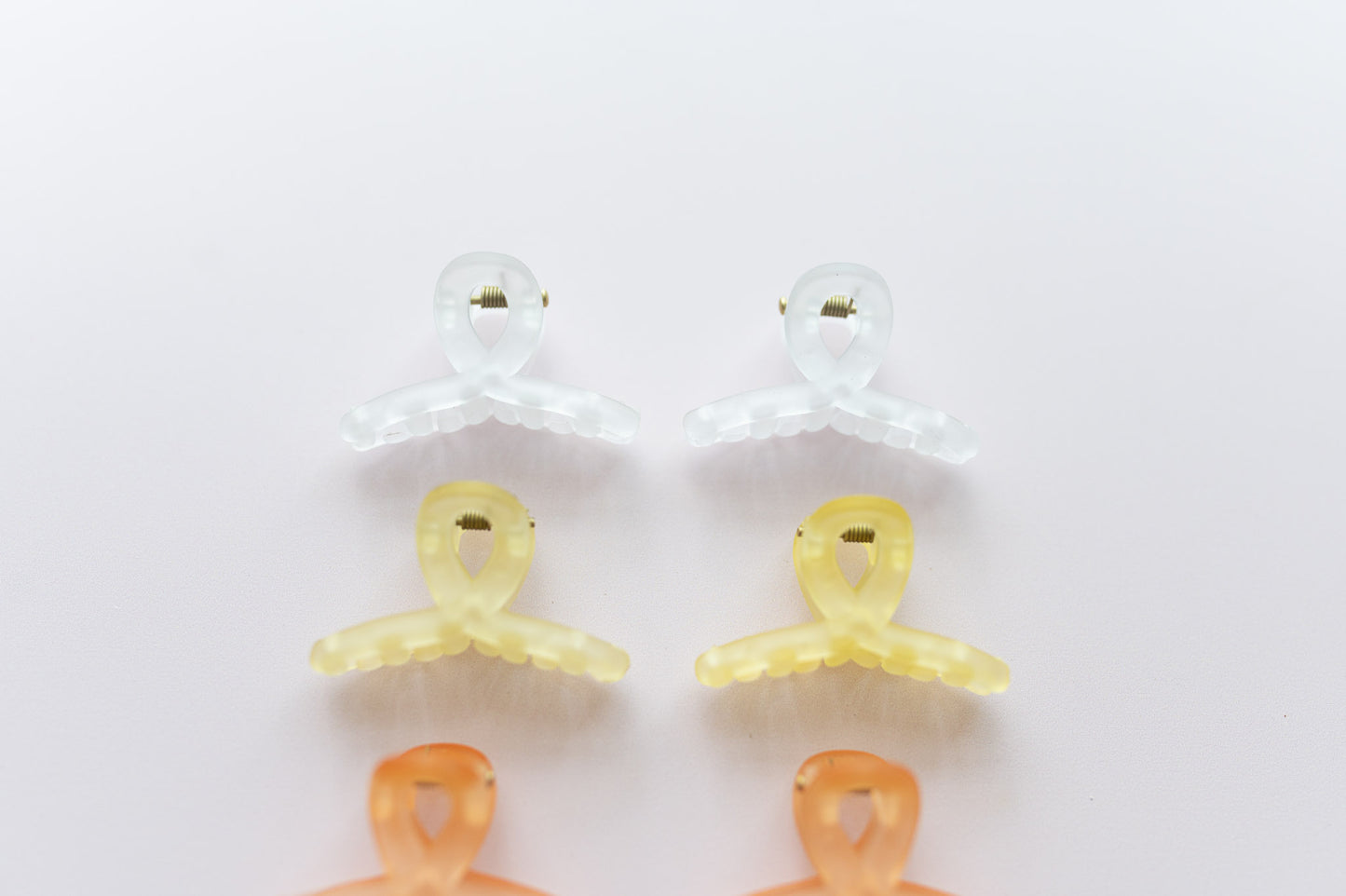 Mini Twist Claw Clip (Set of 2)